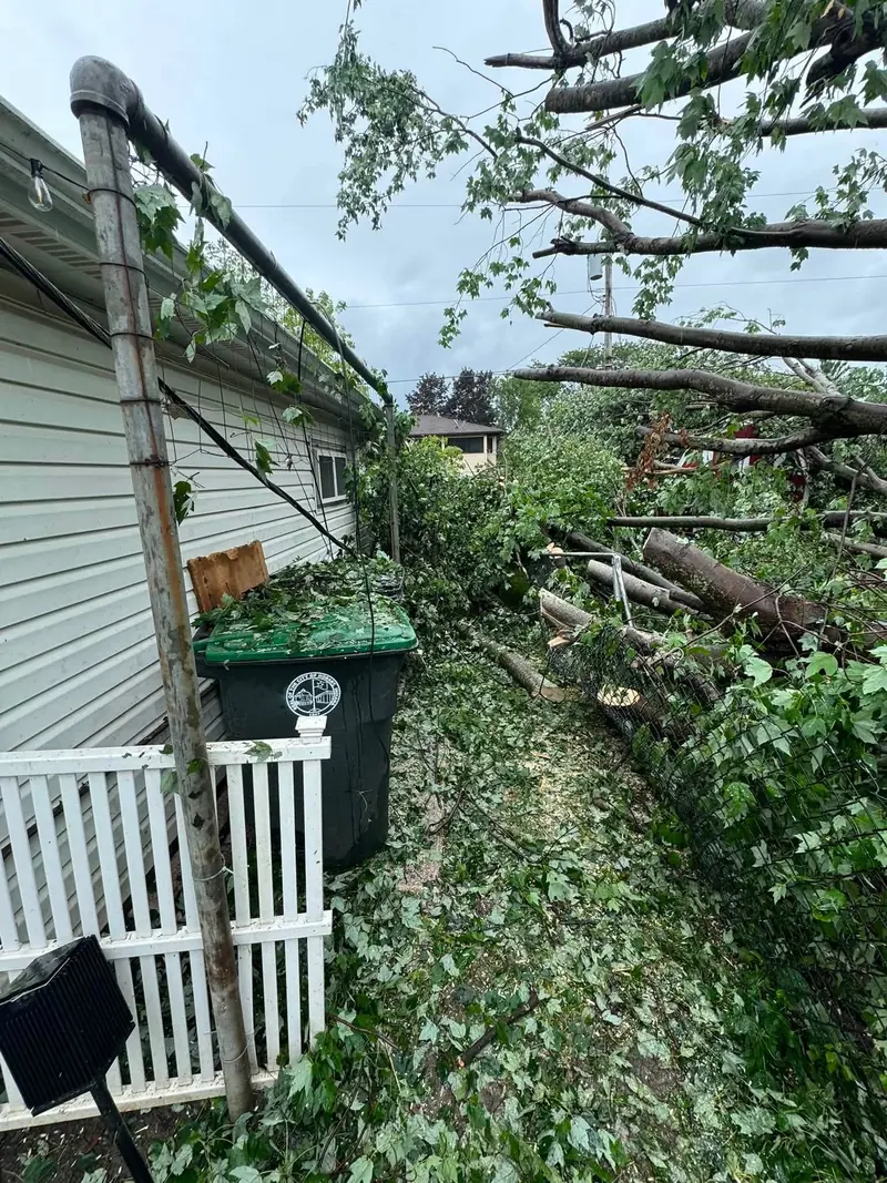 Fallen tree limbs and branches piled beside a house and fence after a storm
