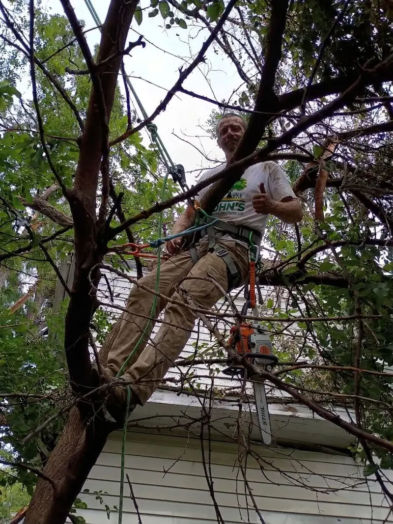 A climber in a John’s Landscape Solutions shirt, roped into a tree with a chainsaw, giving a thumbs up